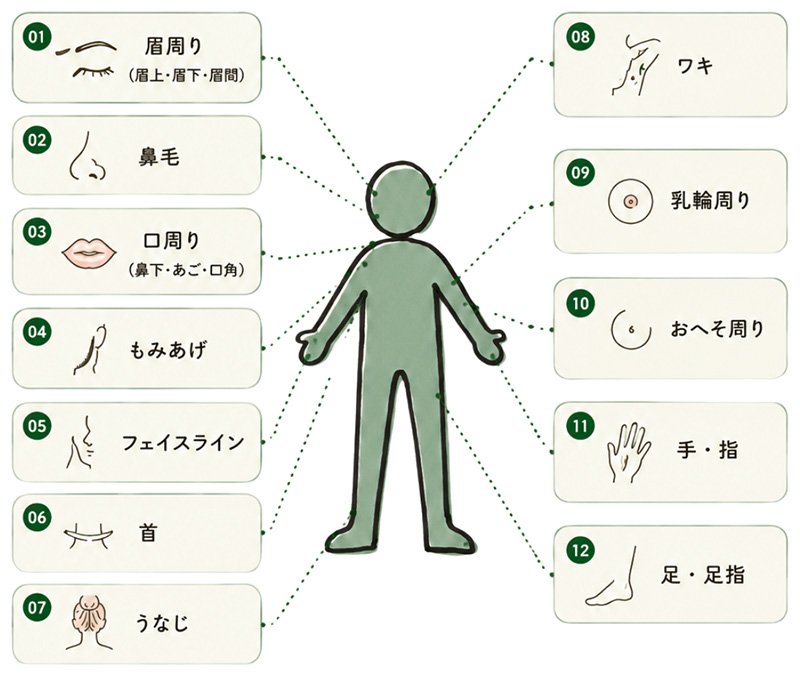施術対象部位