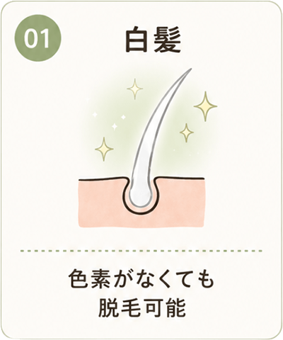 01 白髪