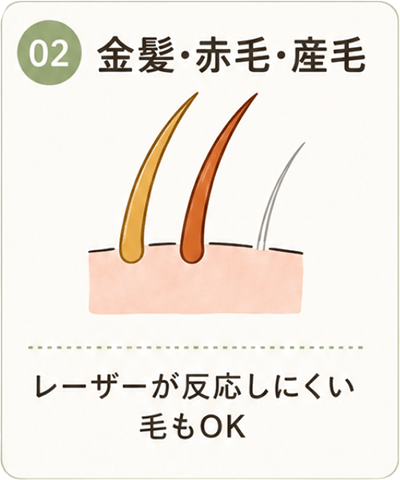02 金髪・赤毛・産毛